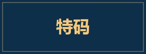 特码